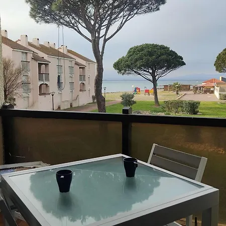 Climatise Avec Wifi, Piscine Et Parking A Coudalere - Fr-1-195-112 Le Barcares