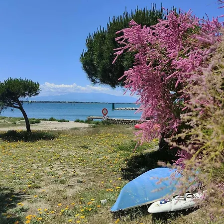 דירה Climatise Avec Wifi, Piscine Et Parking A Coudalere - Fr-1-195-112