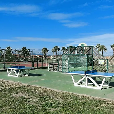 Climatise Avec Wifi, Piscine Et Parking A Coudalere - Fr-1-195-112