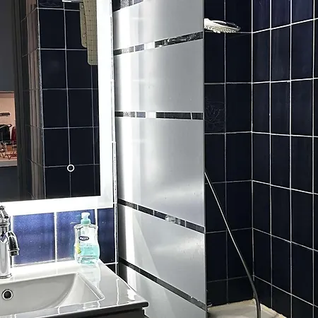 Climatise Avec Wifi, Piscine Et Parking A Coudalere - Fr-1-195-112