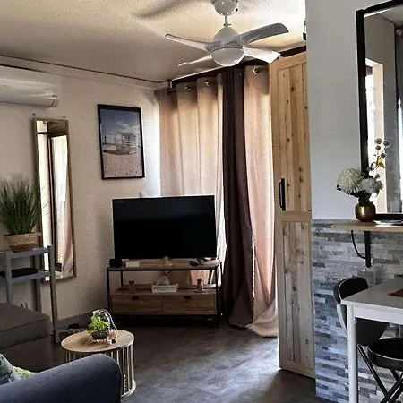 Climatisé Avec Wifi, Piscine Et Parking à Coudalère - Fr-1-195-112 * Le Barcarès